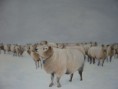 /album/fotogallerij/schapen-in-de-sneeuw-001-jpg1/